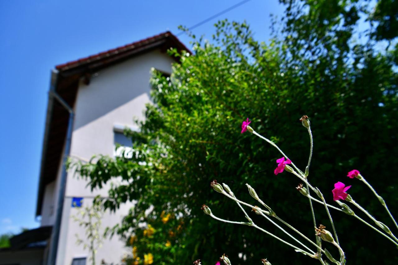Apartment Stjepan *