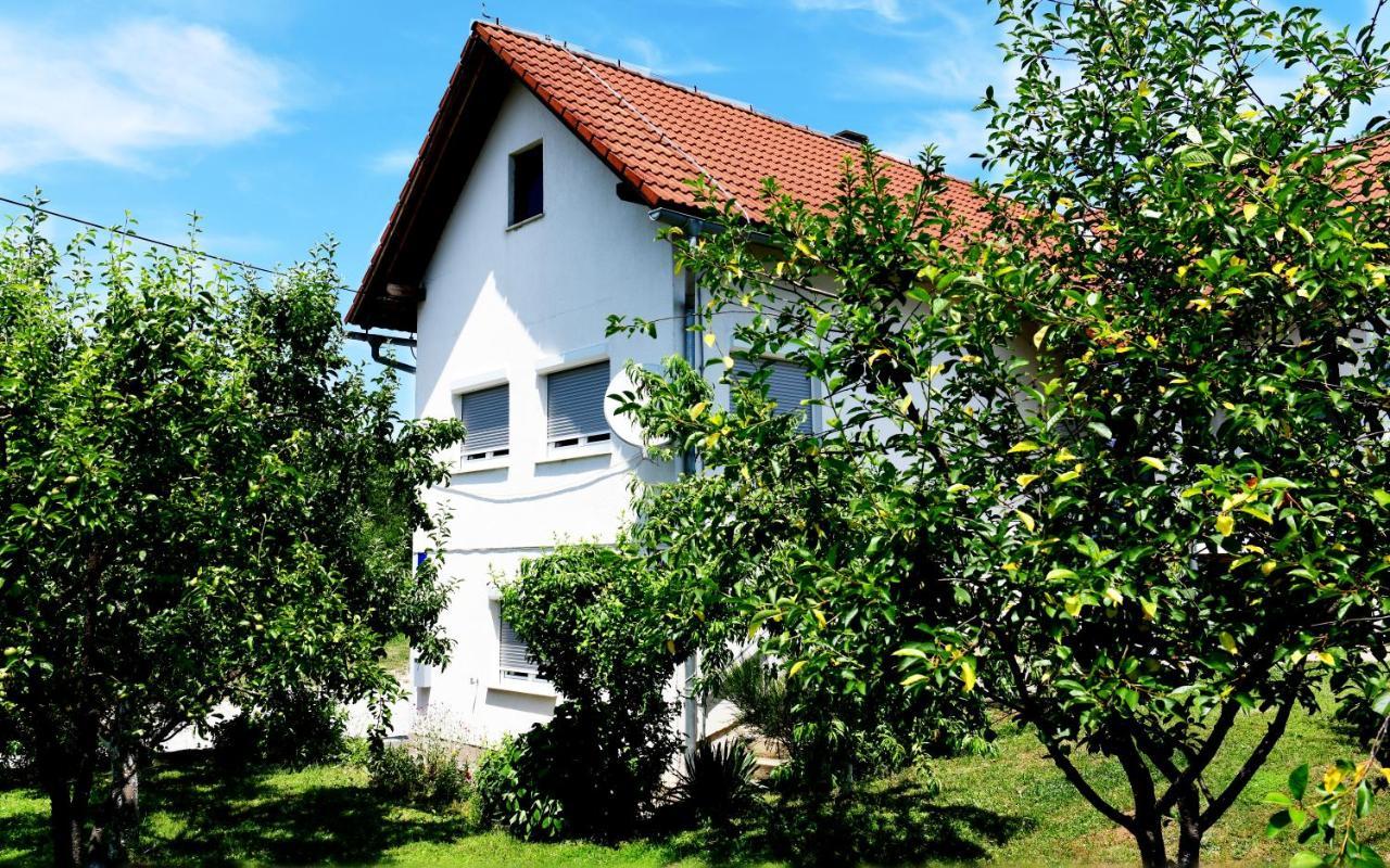 Apartment Stjepan Rakovica